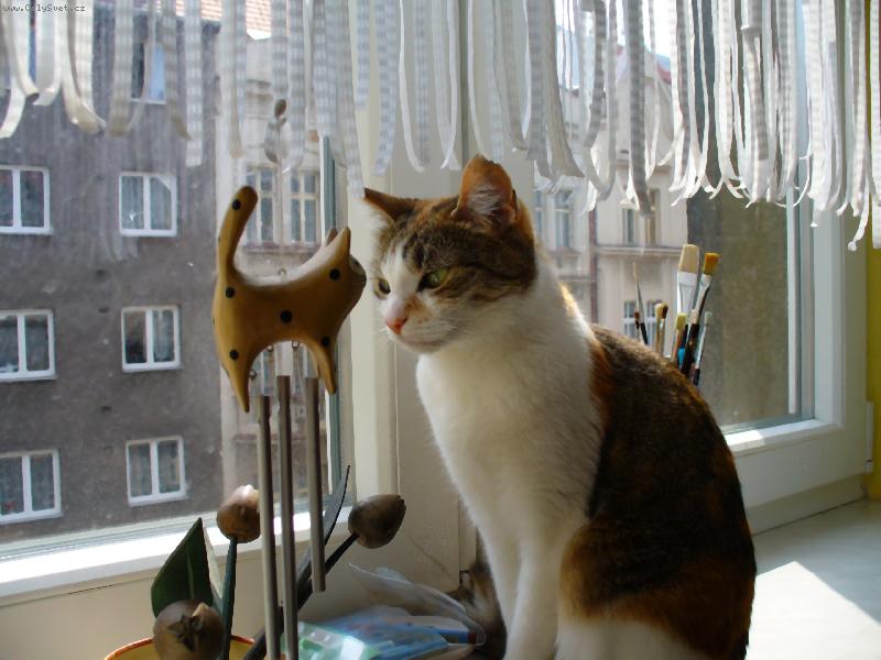 Foto: Z o�i do o�i