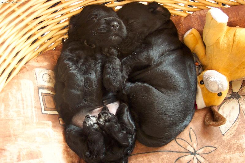 Foto: pohoda d�es br�cho