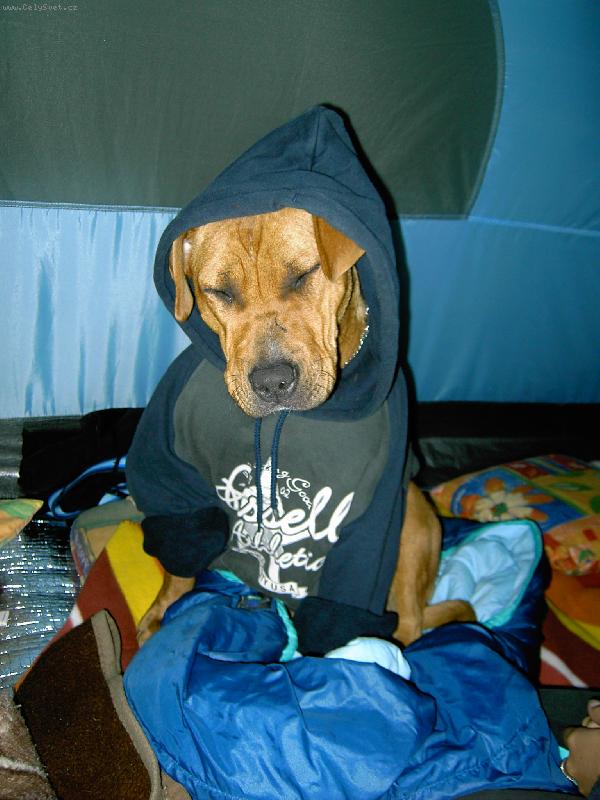 Foto: zima jak v rusku