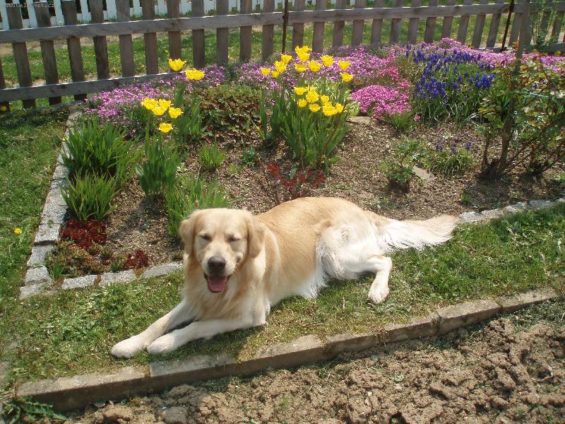 Foto: Tade�ek-Kdy u� zasad�me kone�n� n�co k j�dlu?