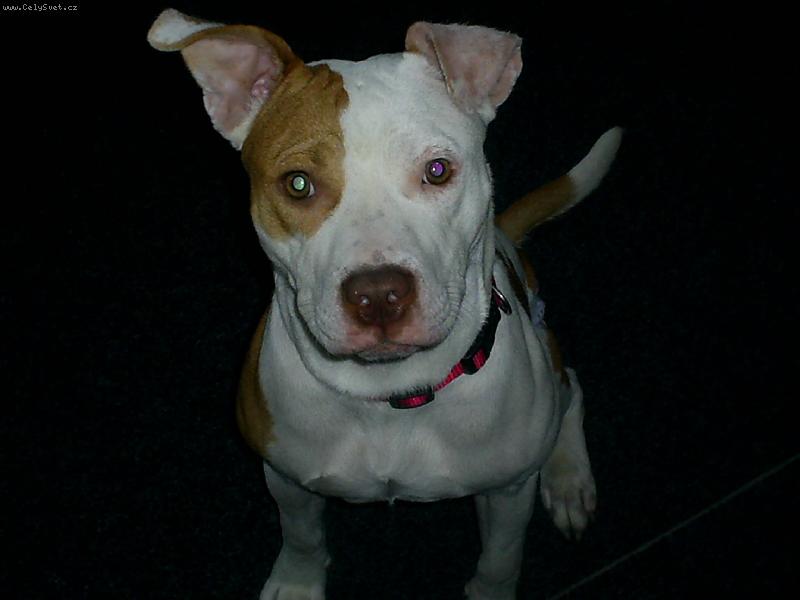 Foto: Tequila-�ek�m