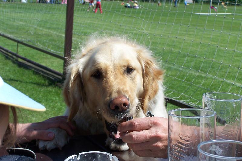 Foto: S�ra-d�kuji u� jsem m�la hlad