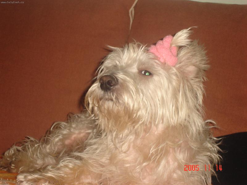 Foto: Alex��ek-To jsem,ale par�dn�k......