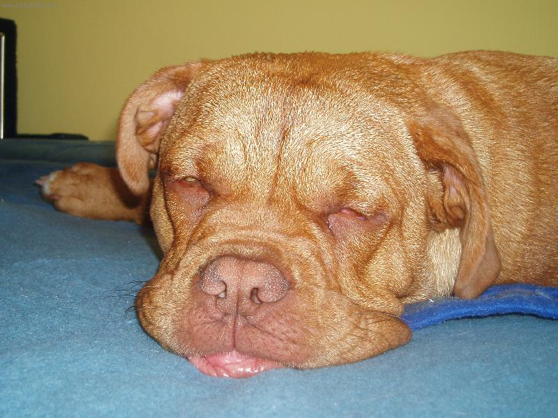 Foto: Samira-v�echno mi je �pln� jedno