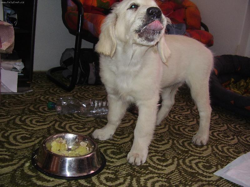 Foto: To je m�amka!-M�am!