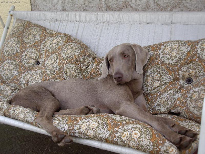 Foto: takhle spink�m