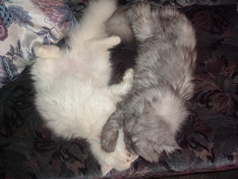 Foto: O�ista-To je ���o-hmmmm :-D