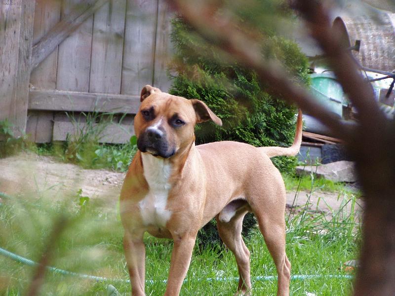 Foto: Schovka za stromkem