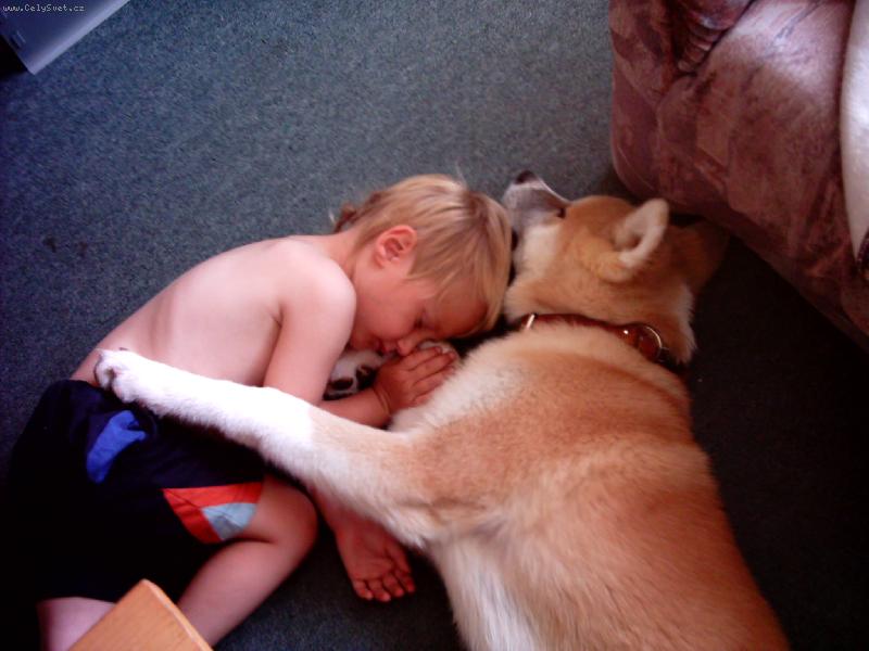 Foto: Do�i hl�d� nejmlad��ho-ty jsi muj ply���ek?