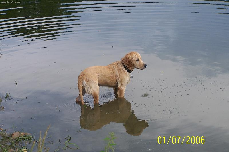 Foto: Falco-Ach, ta voda