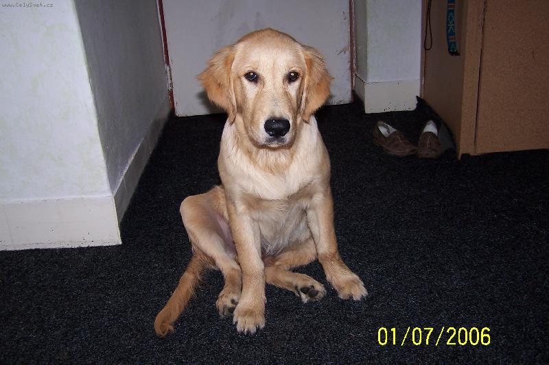 Foto: Falco-Tak u� m� vyfo�