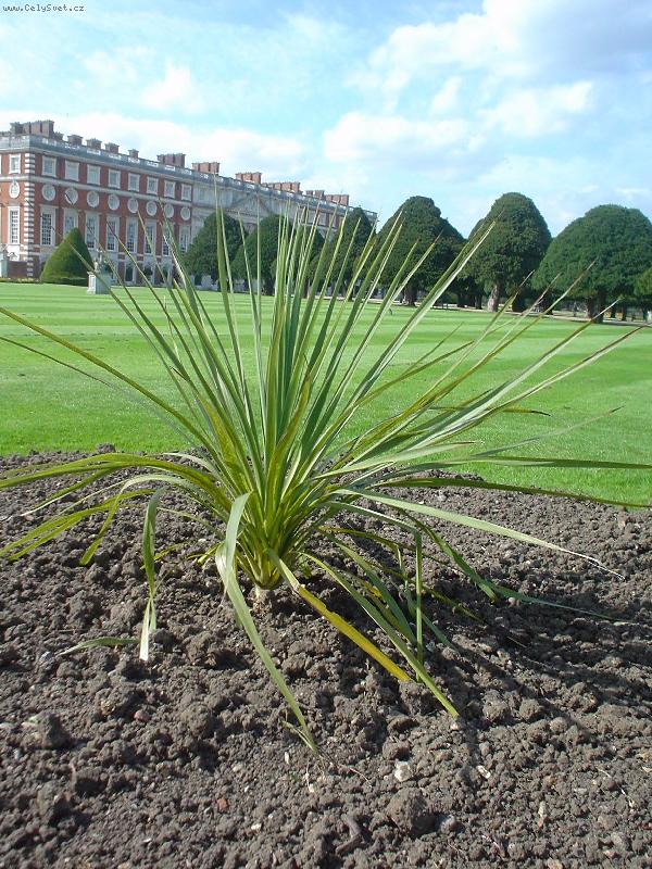 Foto: zahrady z�mku Hampton-zahredy z�mku Hampton