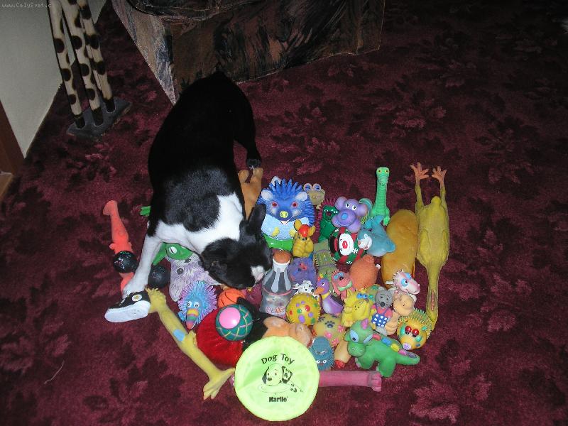 Foto: Najde� m� v m�m kr�lovstv�?