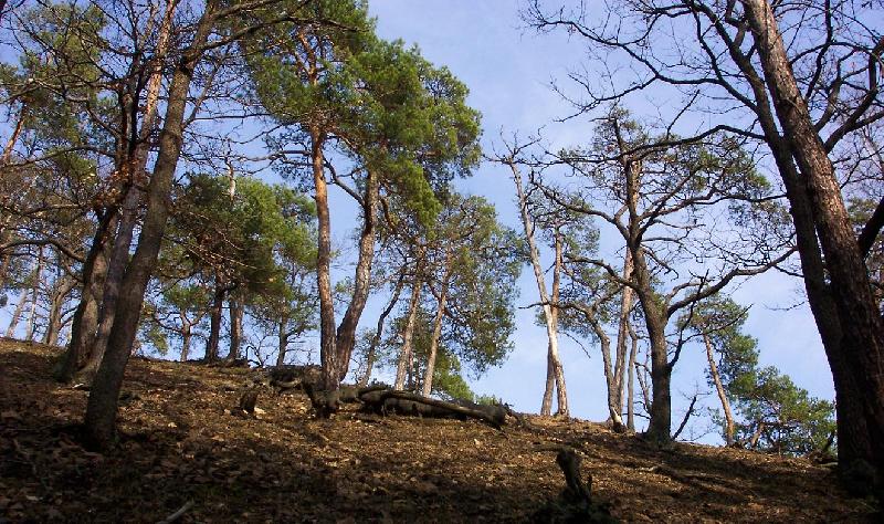 Foto: Velk� v�stup