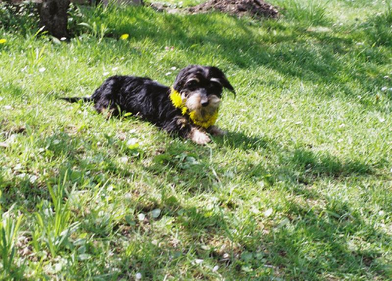 Foto: eli�ka-trochu jin� lu�n� v�la