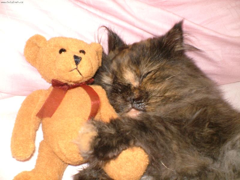 Foto: Moje ZLATICKO spinka :-)-pssssssst