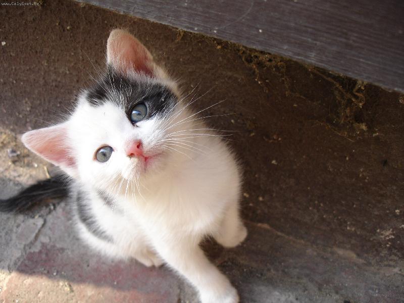 Foto: prosebn� o�i