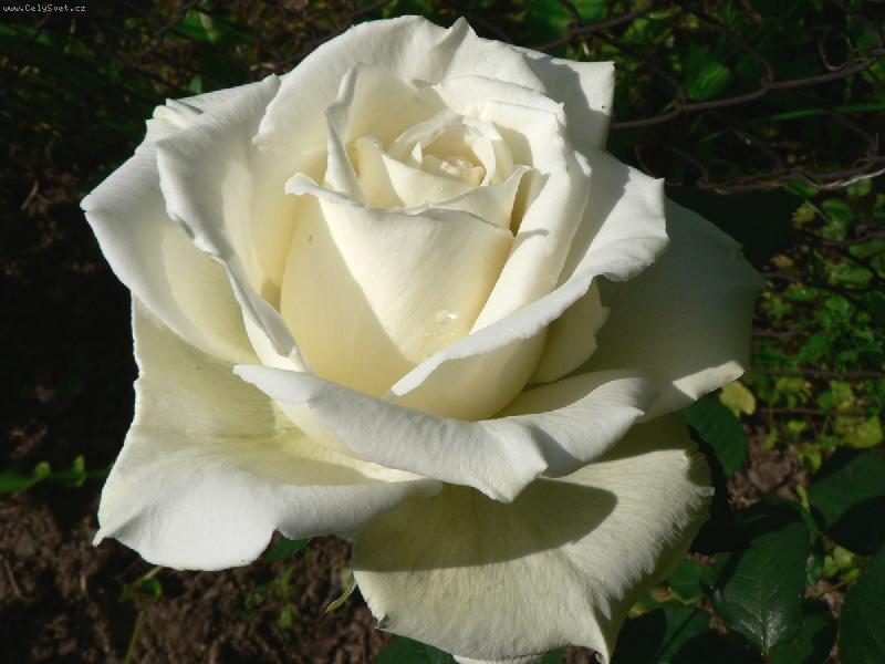 Foto: rann� r��e