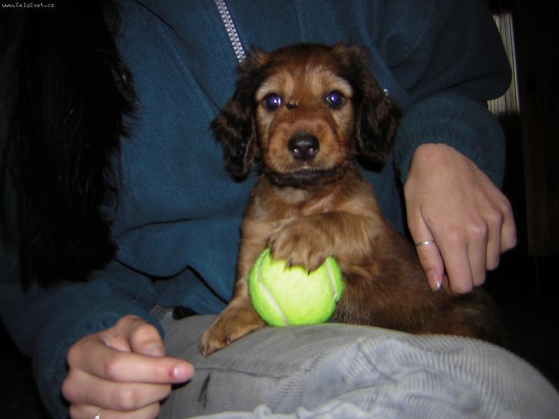 Foto:  Beni�ek-To je m�j m��ek!!!