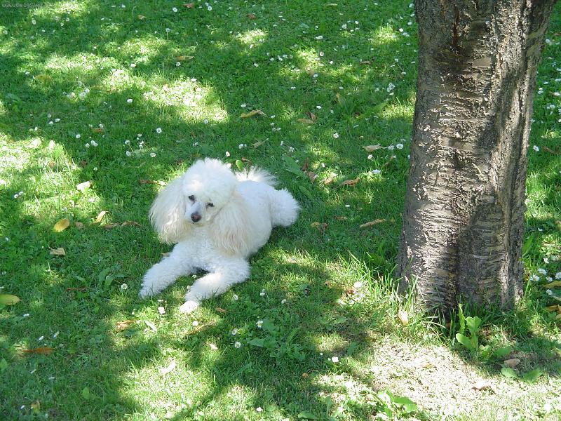Foto: Pohodi�ka-To je lahoda pane jahoda:)