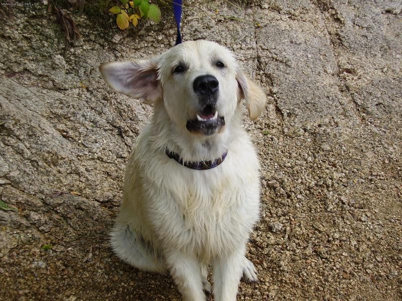 Foto: ukazatel sm�ru