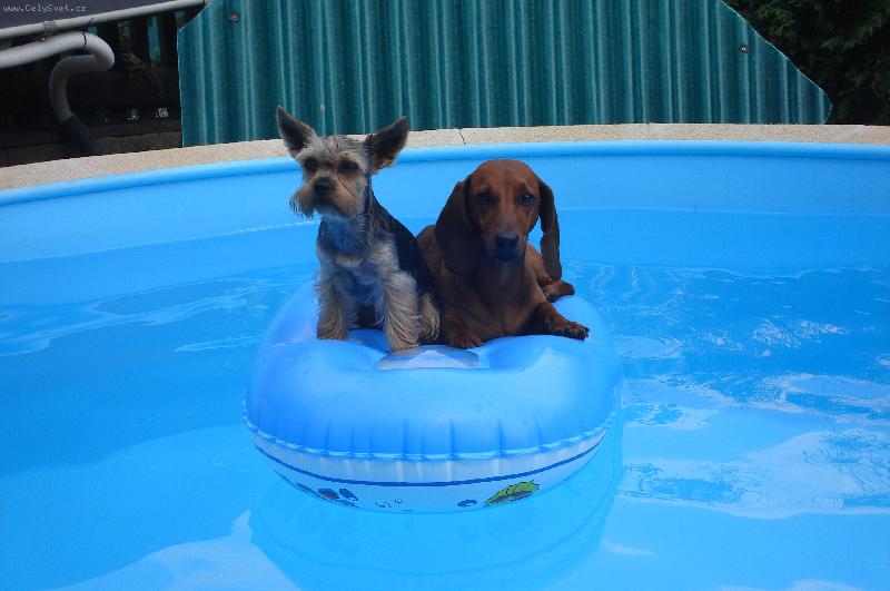 Foto: Parn� l�to-plavba Arbika s Ka�enkou