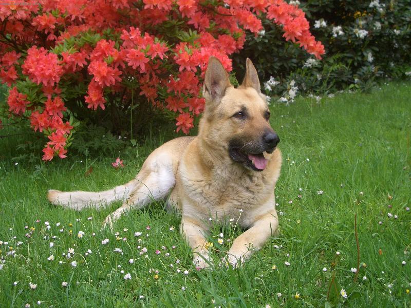 Foto: Nejfotogeni�t�j�� �len na�� rodiny-M�j obl�ben� kout zahrady