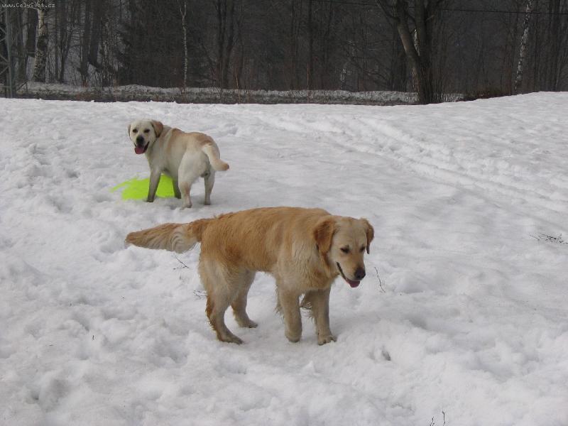 Foto: B�ra-Po�kej na m�, dojdu si taky pro lopatu a pojedu s Tebou!