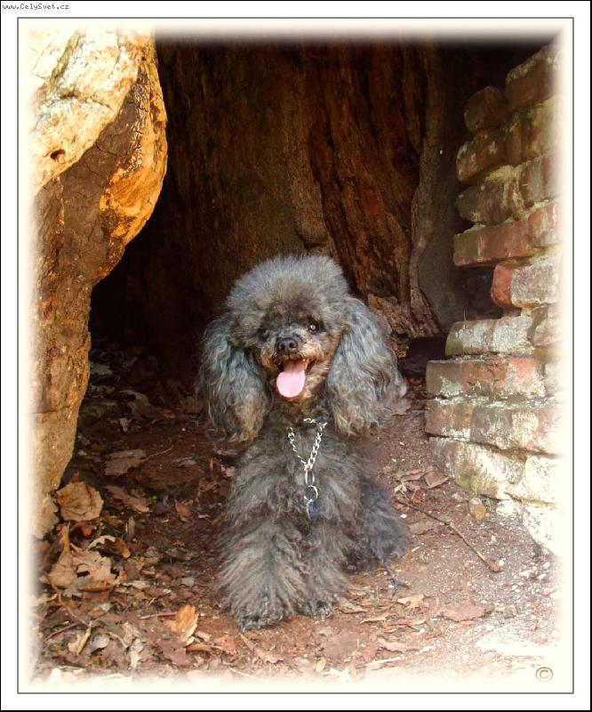 Foto: ...rad�i se schov�m do st�nu...