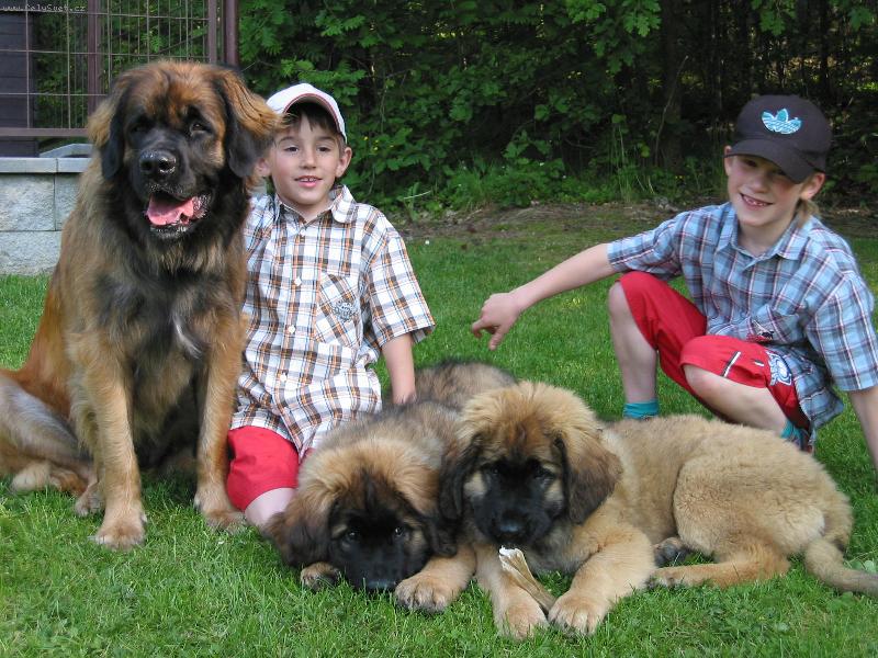 Foto: Pr�zdninov� pohoda-CHS Galaxy Oss