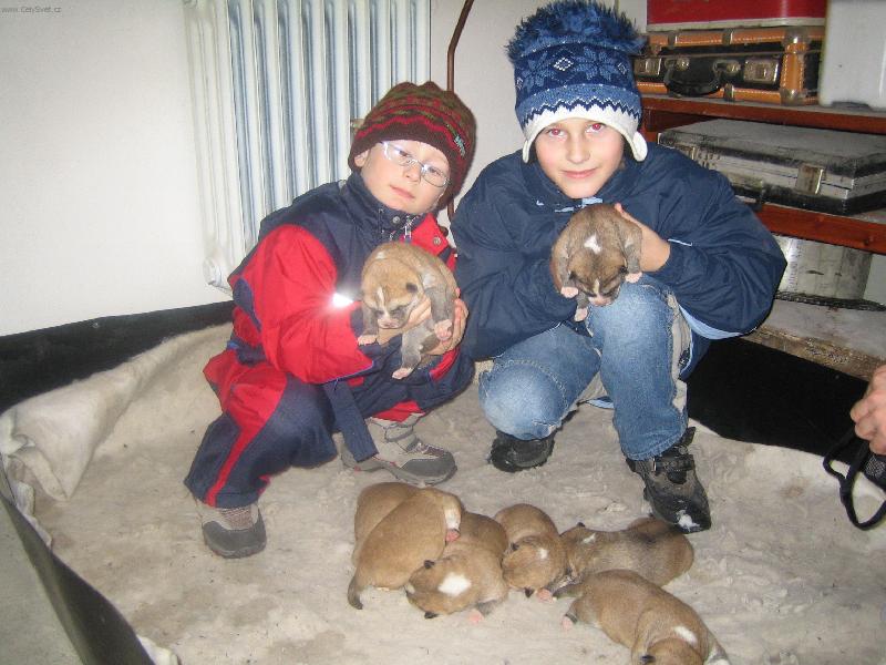 Foto: NA�i nejmilej��-d�ti a pejsci