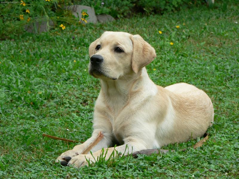 Foto: S�ra-Tak j� v�m tedy zap�zuji