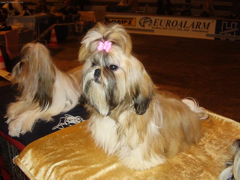 Foto: To jsem zv�dav�,kdo to bude dneska...