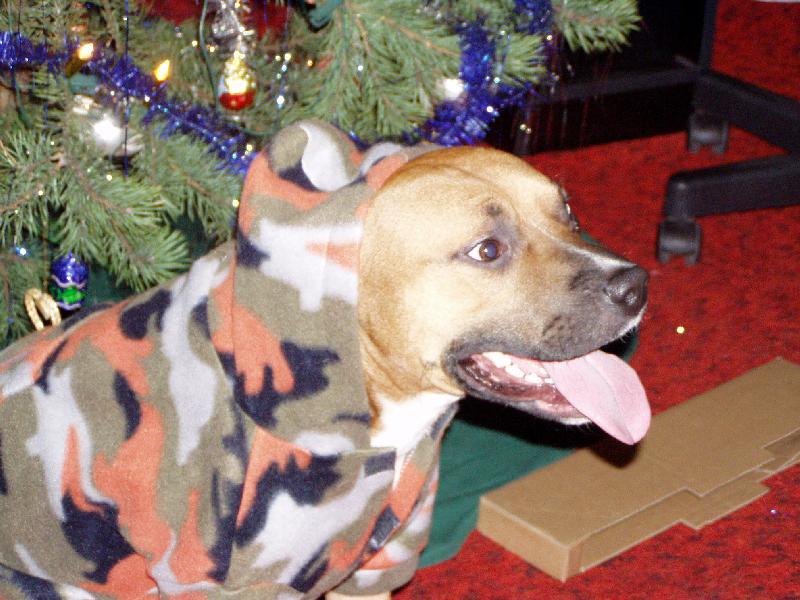 Foto: P��prava na boj