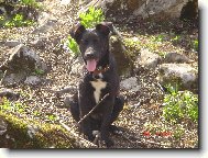 Tak co na m� ��k�te ?