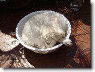 u� jsem to zam�zla