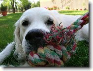 poj�te pane, budeme si hr�t