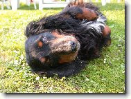 Vid�m sv�t naruby