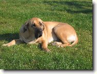 n� mil��ek Cori