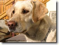 Hl�da� kter� ne�t�k�.