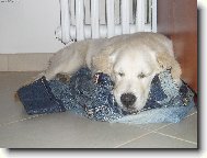 v�ude se sp� dob�e