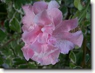 Zatm�n� m�s�ce