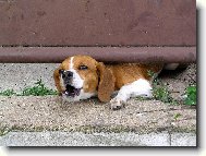 Tady hl�d�m j�