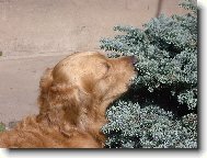 P�kn� prot�hnou