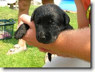 Poprv� u p�n��ka