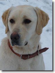 Nejlep�� kamar�dka