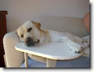 Charlieho pohodi�ka