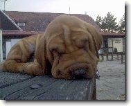 Sly��ek n� 3-m�s��n�