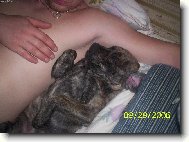 ڞasn� odpo�inek:-)