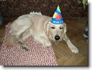 narozeniny (oslava m�ho prvn�ho roku)